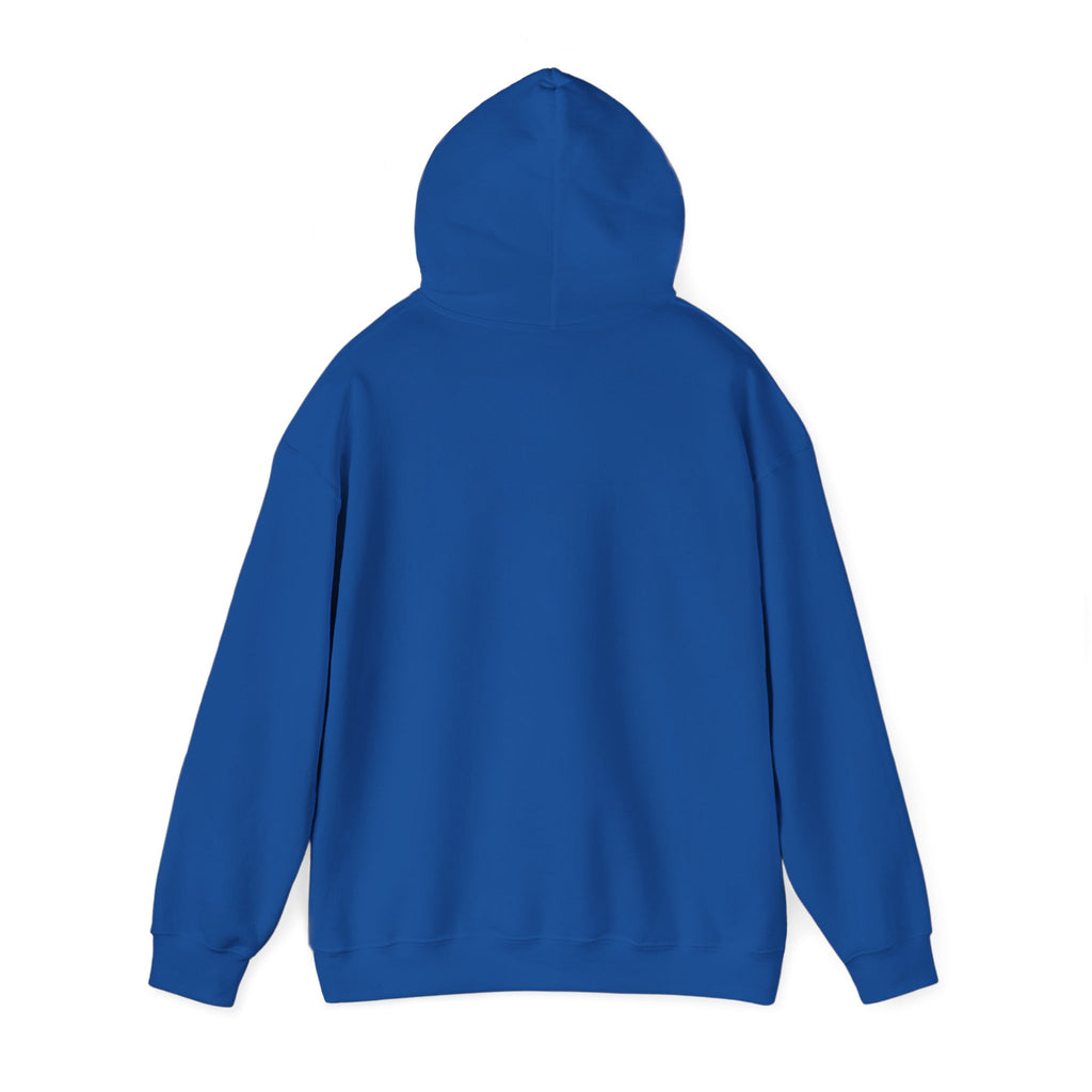 Unisex Heavy Blend™ Hooded Sweatshirt - My Twin Sister is a copycat