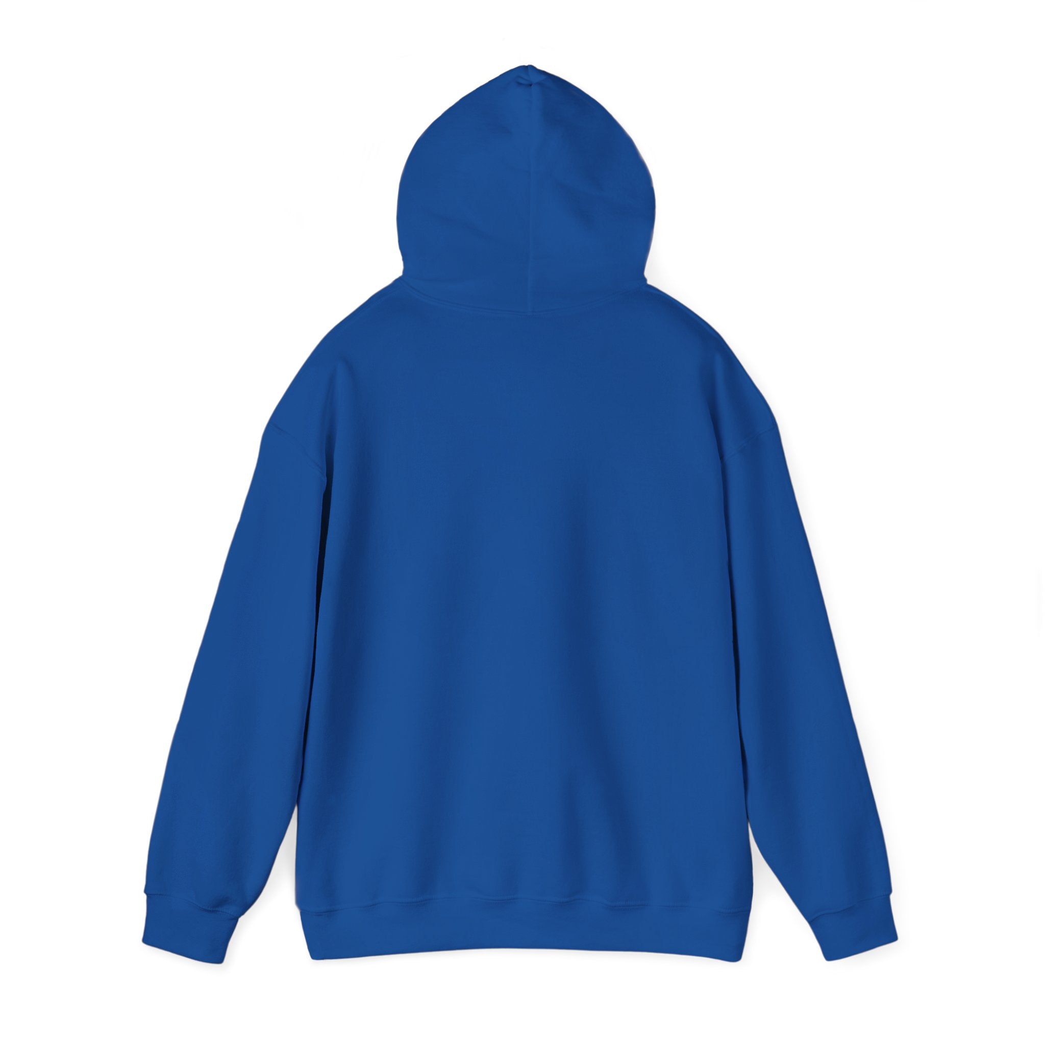 Unisex Heavy Blend™ Hooded Sweatshirt - My Twin Sister is a copycat