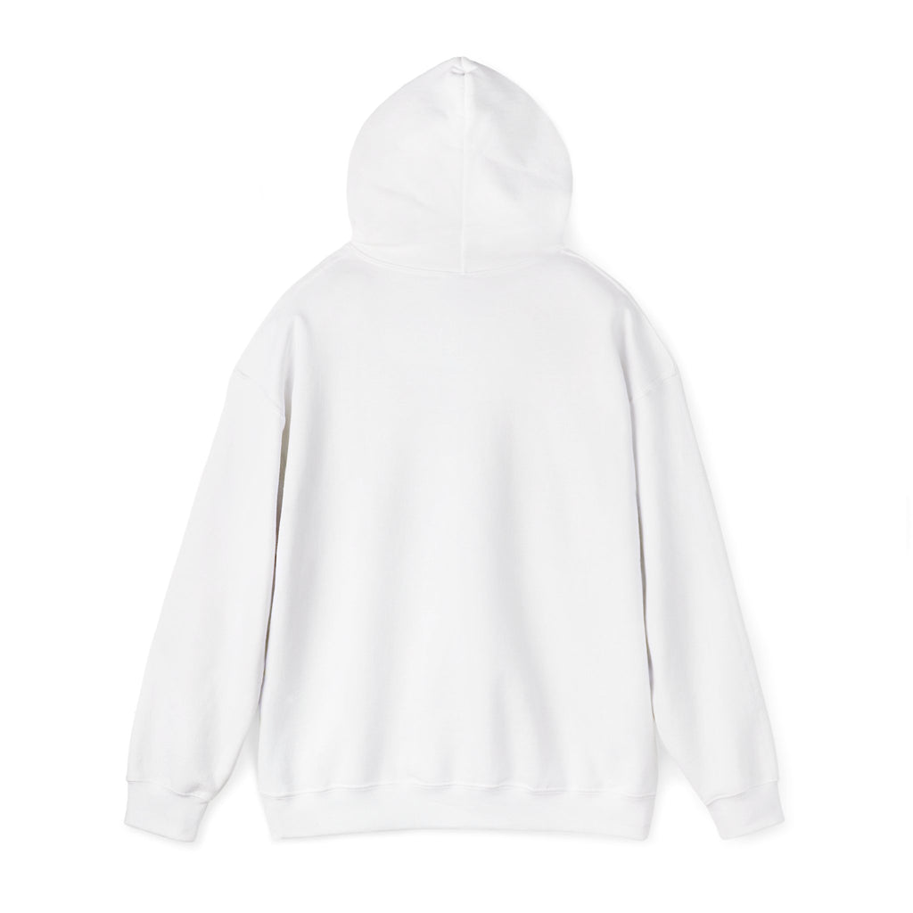 Unisex Heavy Blend™ Hooded Sweatshirt - My Twin Sister is a copycat