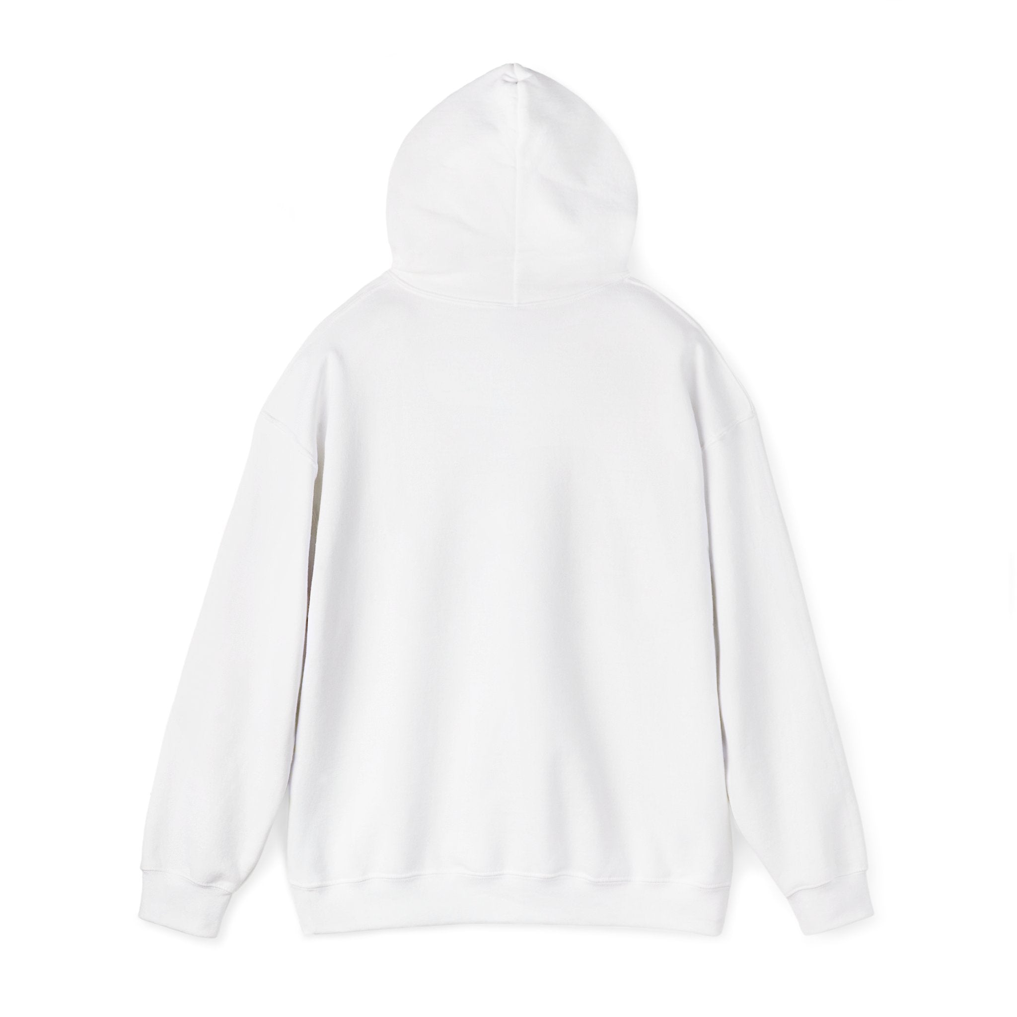 Unisex Heavy Blend™ Hooded Sweatshirt - My Twin Sister is a copycat