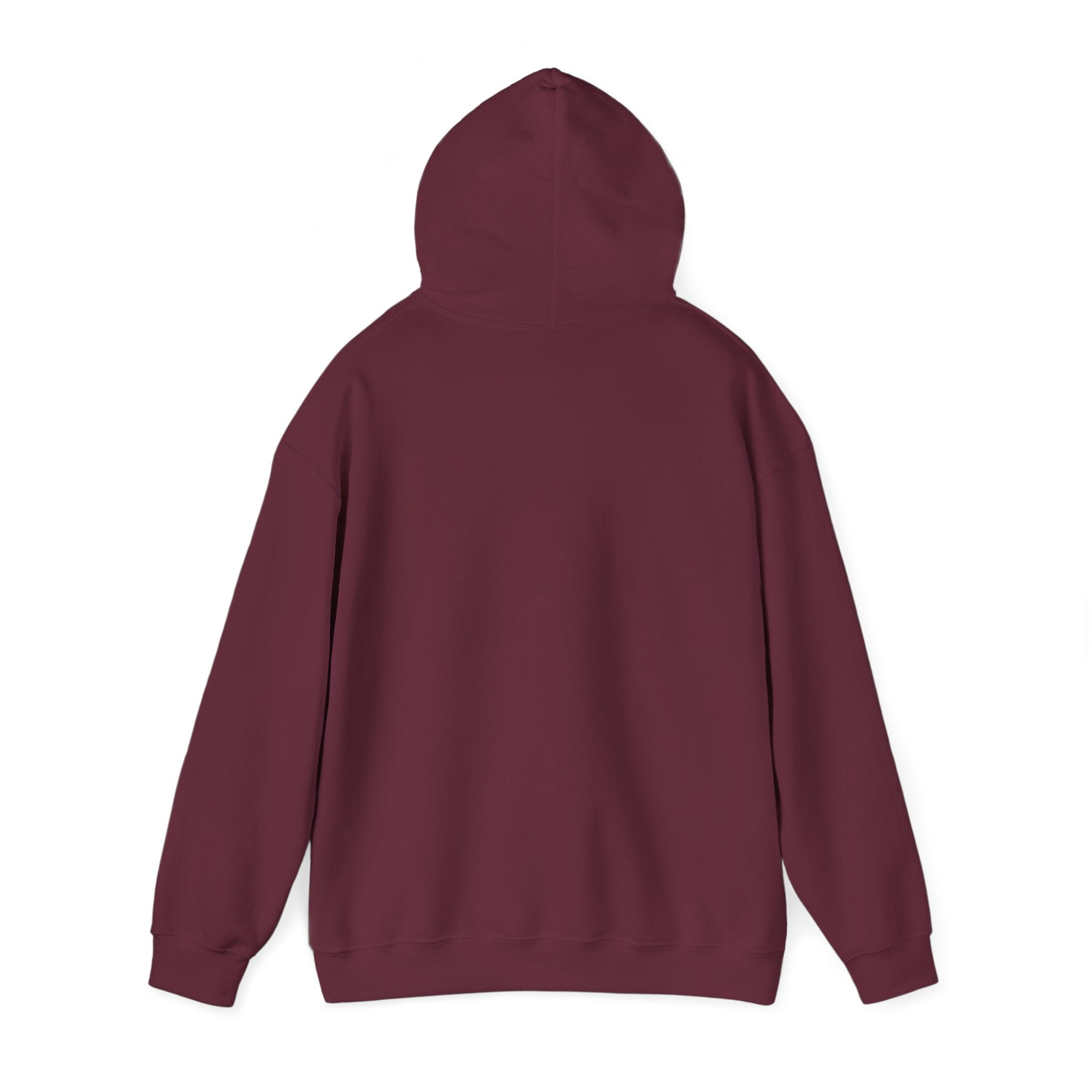 Unisex Heavy Blend™ Hooded Sweatshirt - My Twin Sister is a copycat