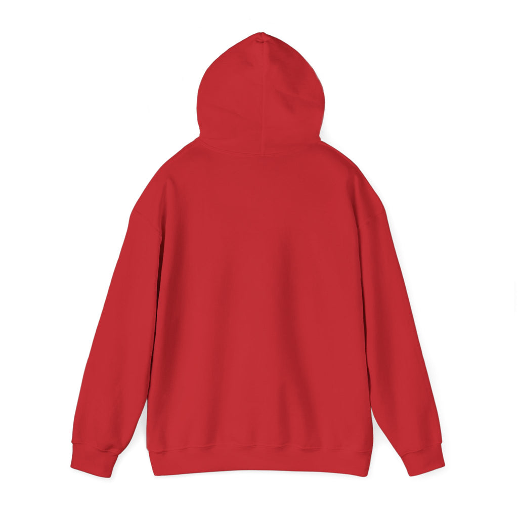 Unisex Heavy Blend™ Hooded Sweatshirt - My Twin Sister is a copycat