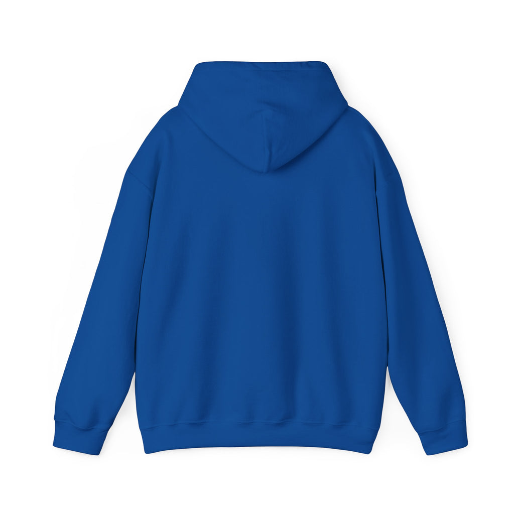 Unisex Heavy Blend™ Hooded Sweatshirt - My Twin Sister is a copycat