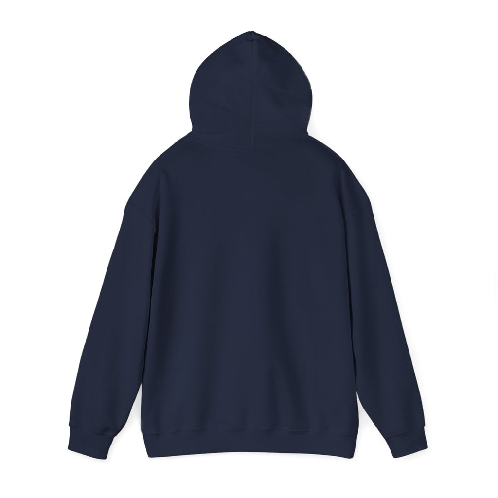 Unisex Heavy Blend™ Hooded Sweatshirt - My Twin Sister is a copycat