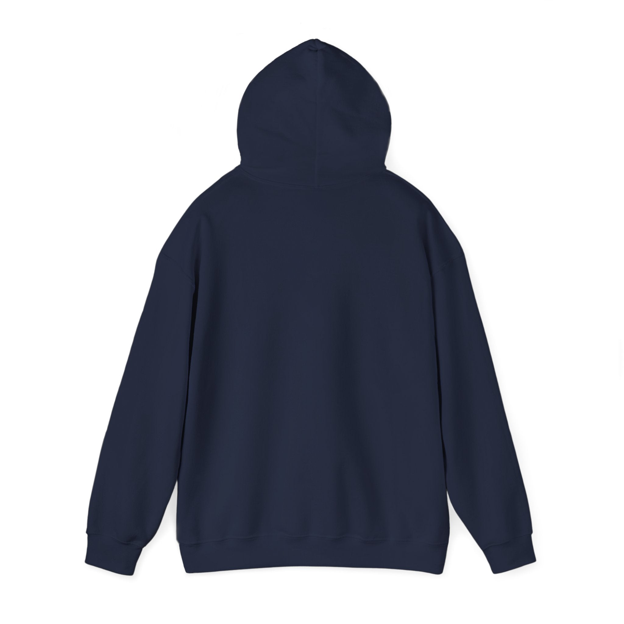 Unisex Heavy Blend™ Hooded Sweatshirt - My Twin Sister is a copycat
