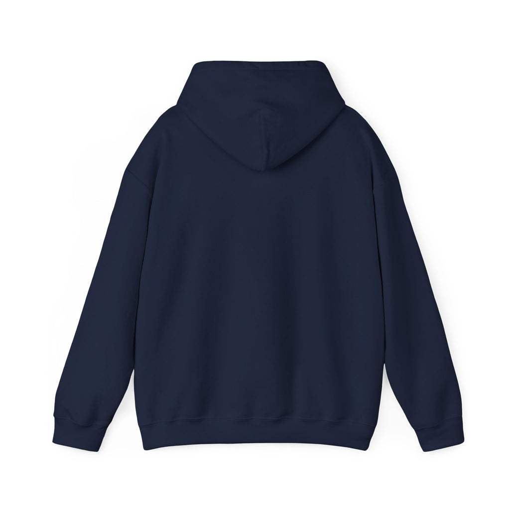Unisex Heavy Blend™ Hooded Sweatshirt - My Twin Sister is a copycat