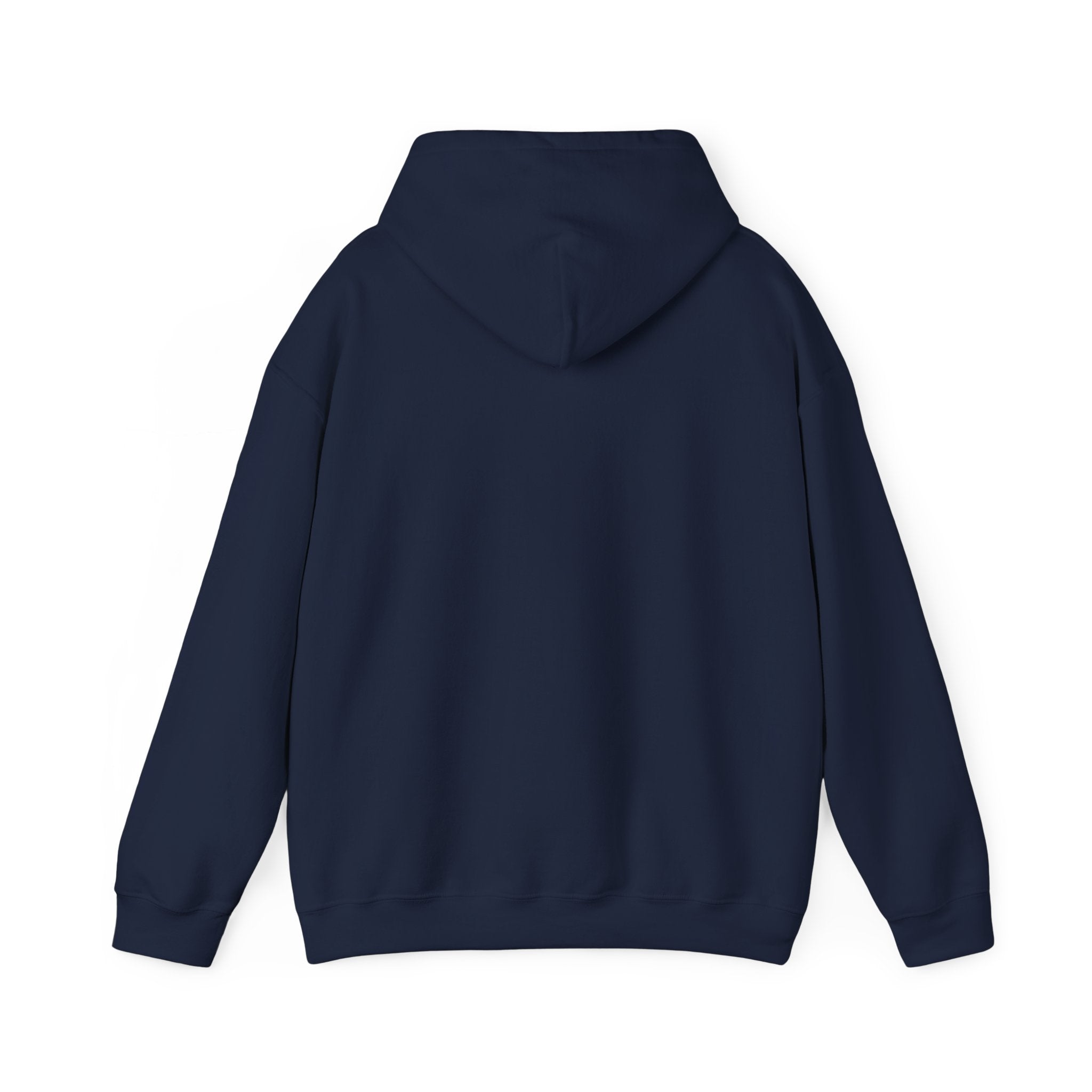 Unisex Heavy Blend™ Hooded Sweatshirt - My Twin Sister is a copycat